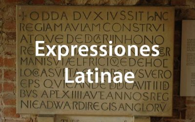 The Roots of English: How Latin Expressions Say So Much with So Little