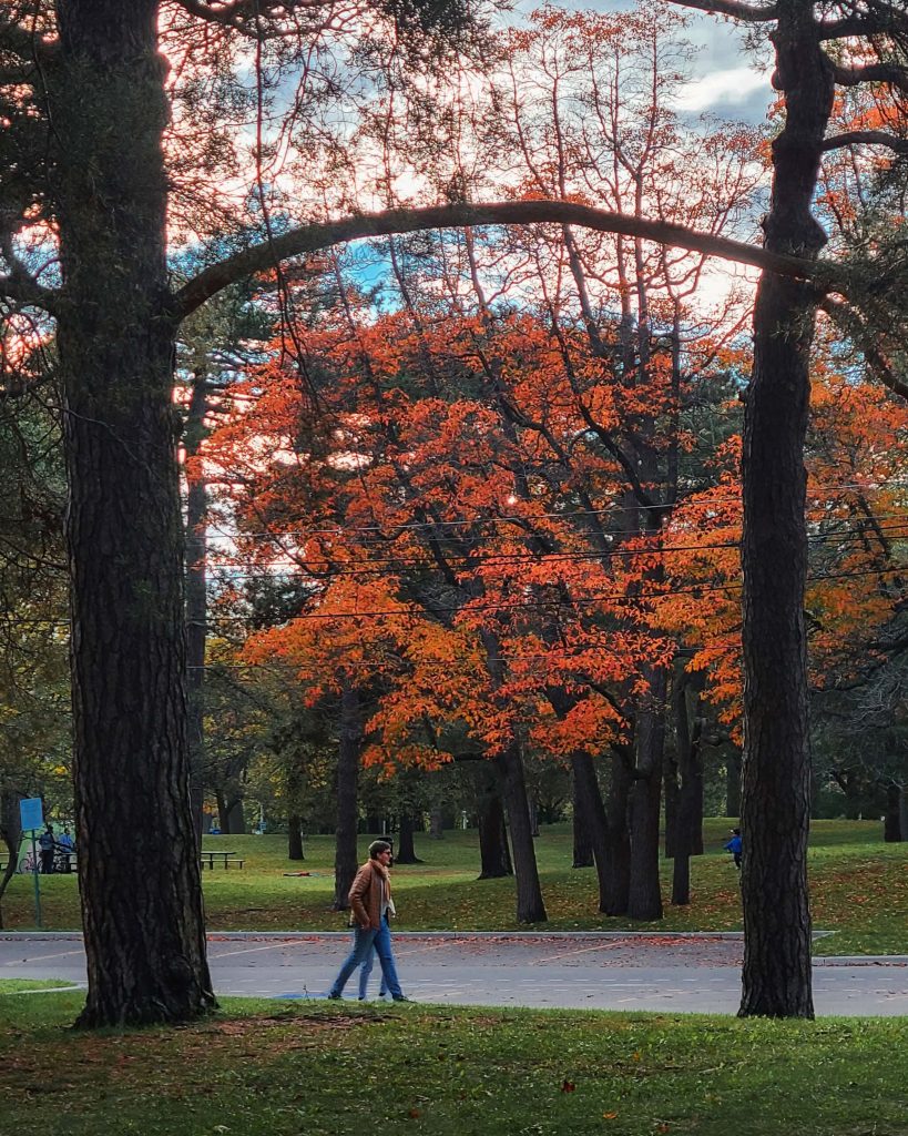 Fall in High Park, Toronto, Ontario