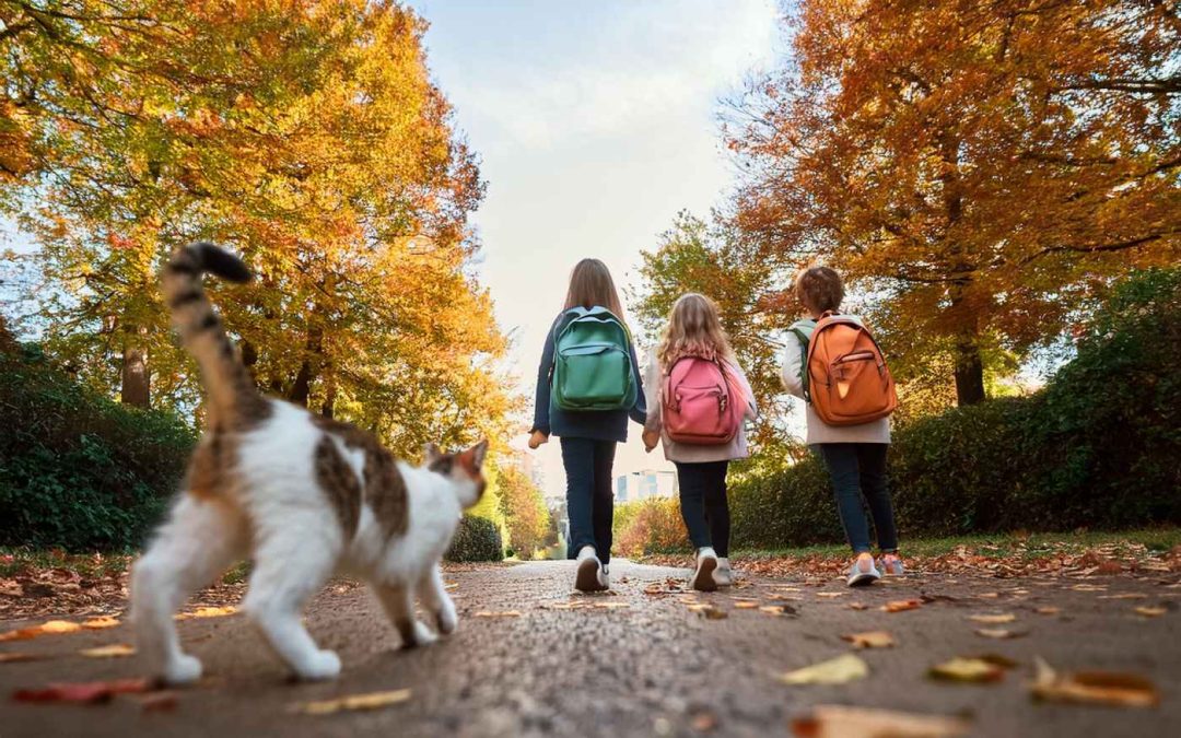 Students walking to school with cat